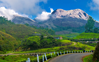 Munnar Tour Packages