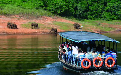 Thekkady Tour Packages